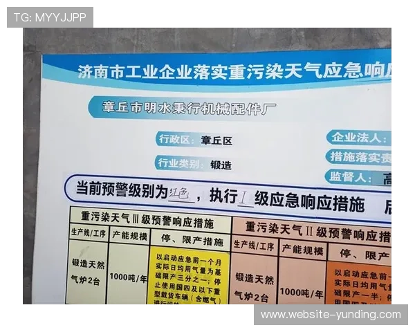 云顶国际官网入口网址身份验证流程与安全保障措施详解